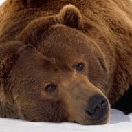 ZhenXBear