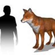 Marlfox