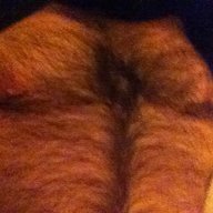 Cub