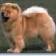 fosterchow