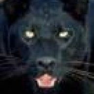 NYTomcat