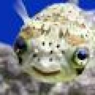 Fishman