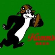 geminibear