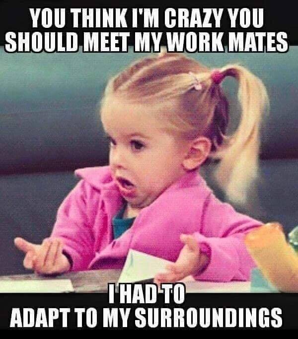 Think I'm Crazy?