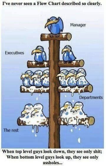 Corporate Org Chart