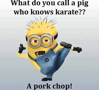 Don't Mess With a Pork Chop!