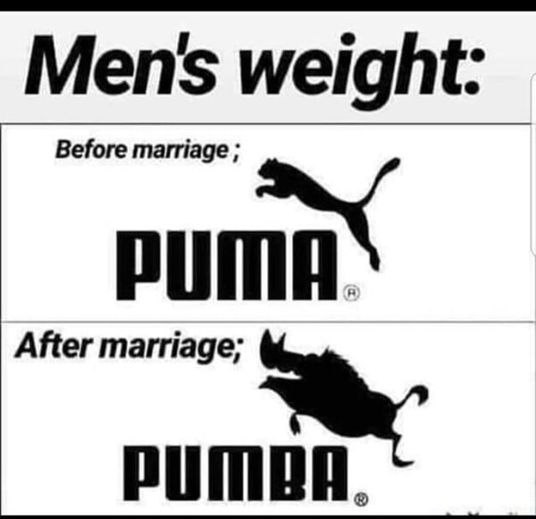 Puma vs Pumba
