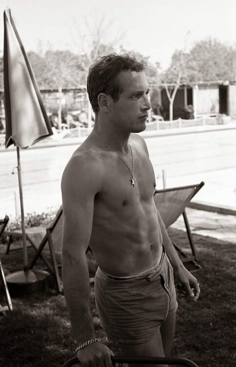 Paul Newman.jpg