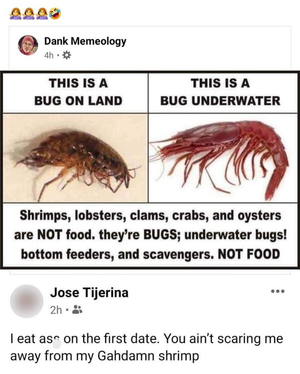 shrimp.jpg