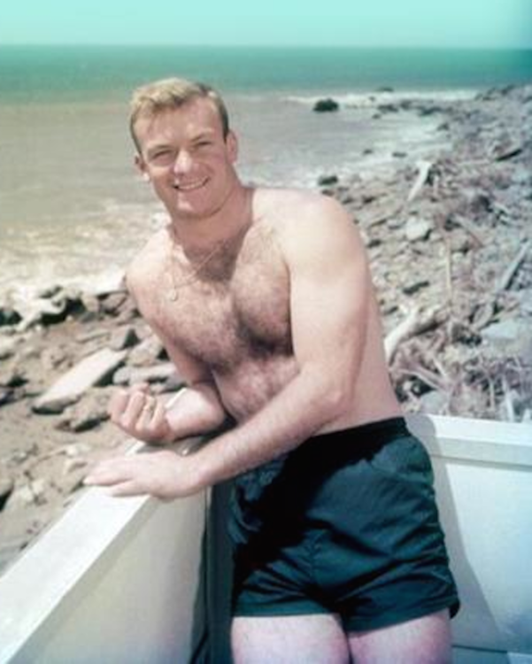 aldo ray hairy shirtless.png