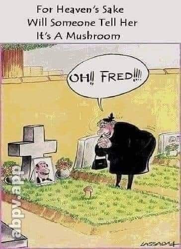 Oh Fred!