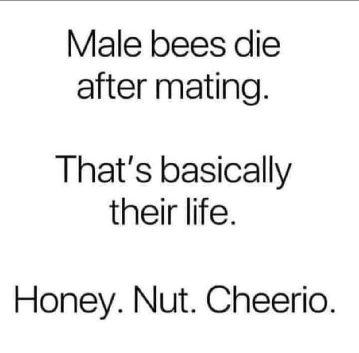 The Life of Bees