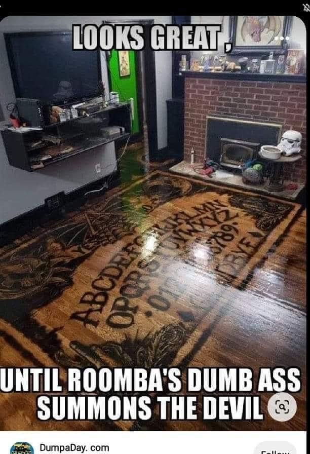 Damn That Roomba