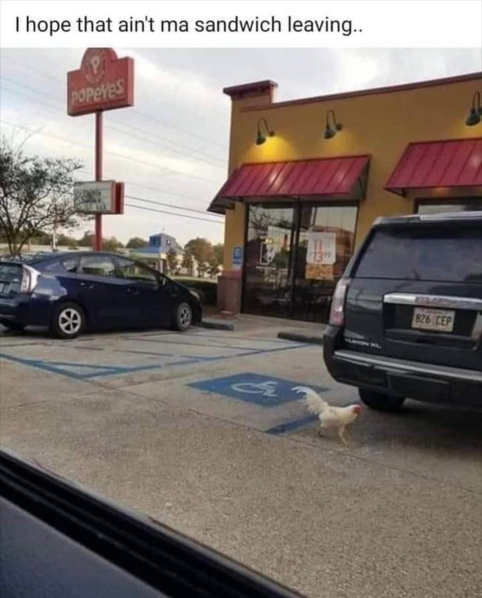 Come Back Here!