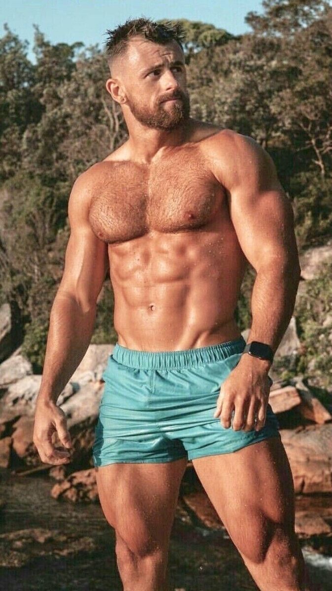 Beard - muscle - hairy chest
