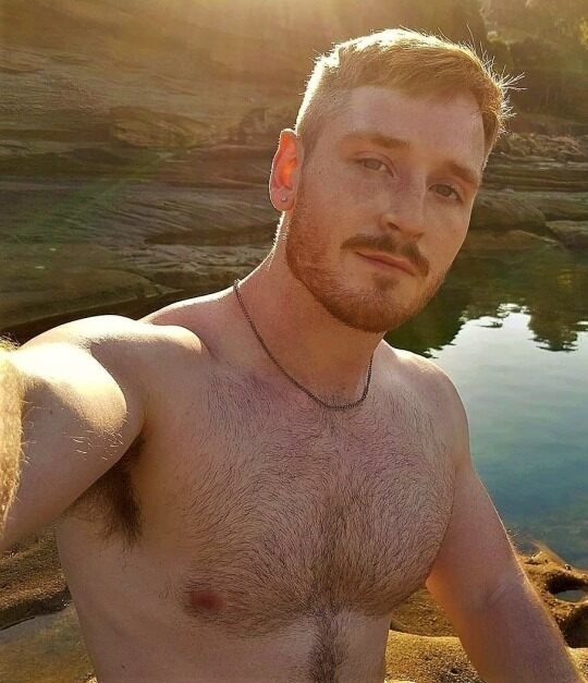 Blond - scruff beard - hairy chest