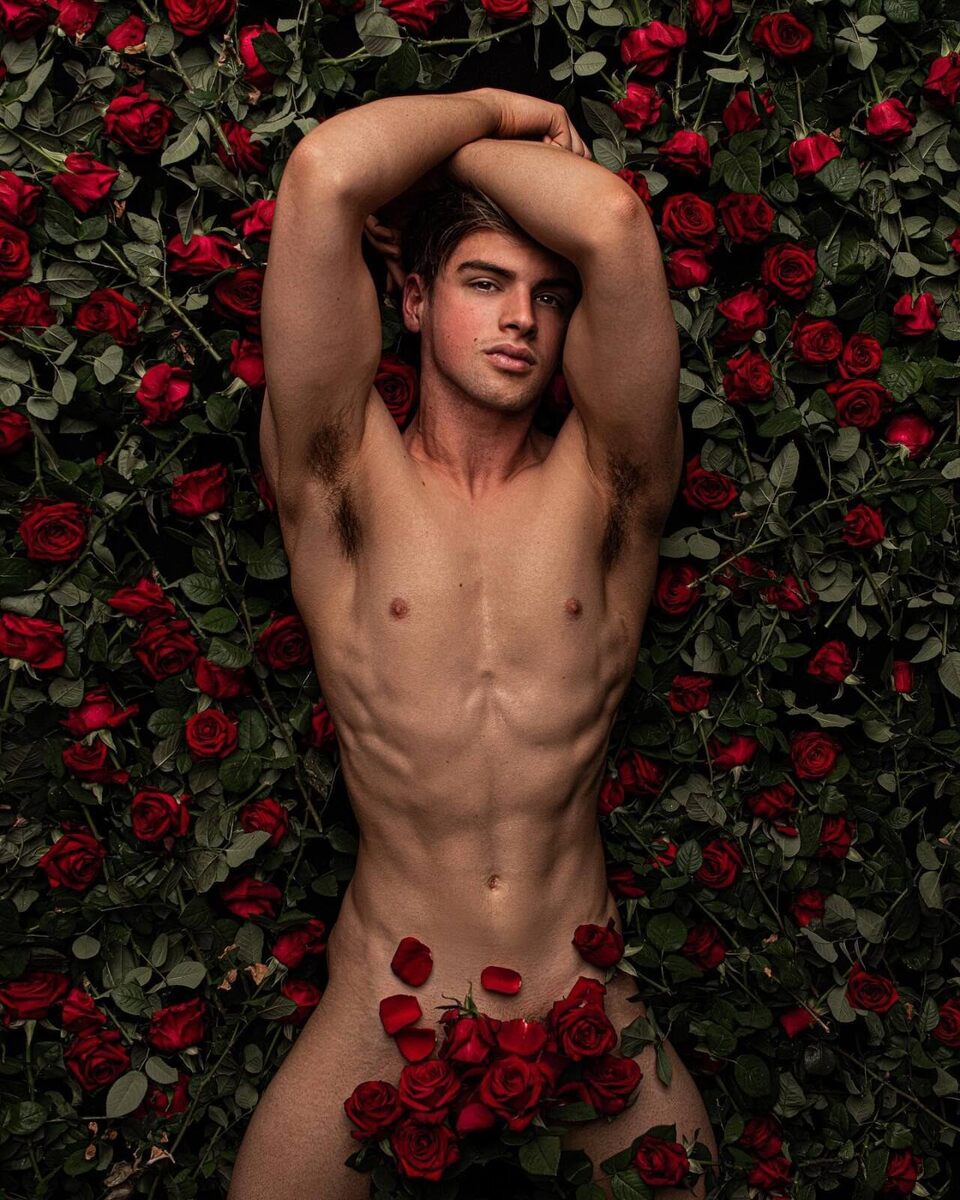 A Bed of Roses