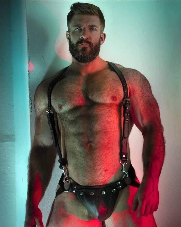 The Lumberjack
