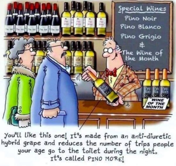 Types of Wine