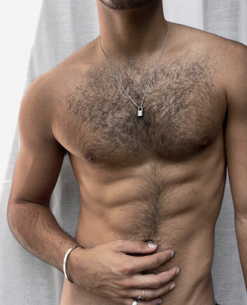 Torso - lean hairy muscle