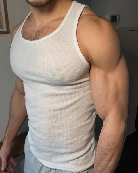 Torso - wife beater - lean muscle