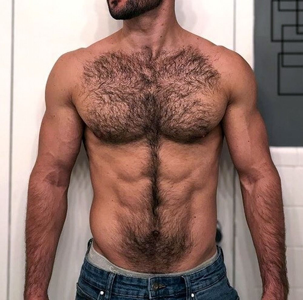 Torso - lean hairy muscle