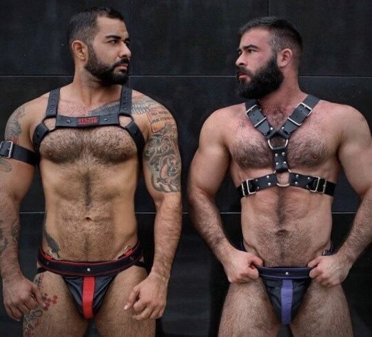 Leather duo - harness - hairy