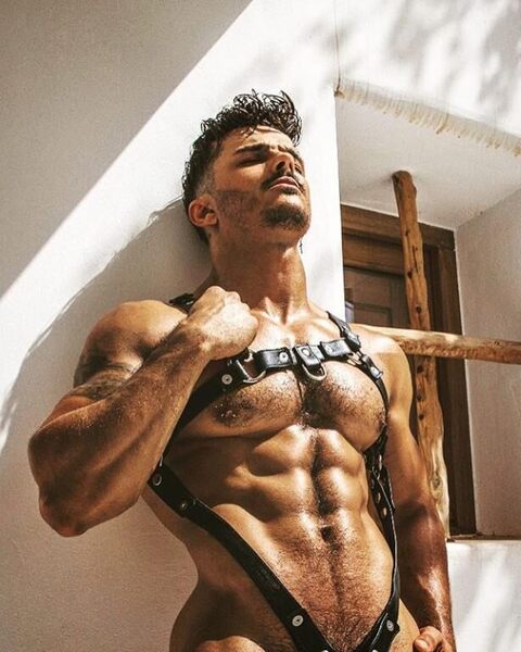 Hairy & Harnessed