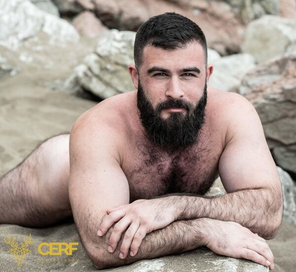 Bearded On the Rocks