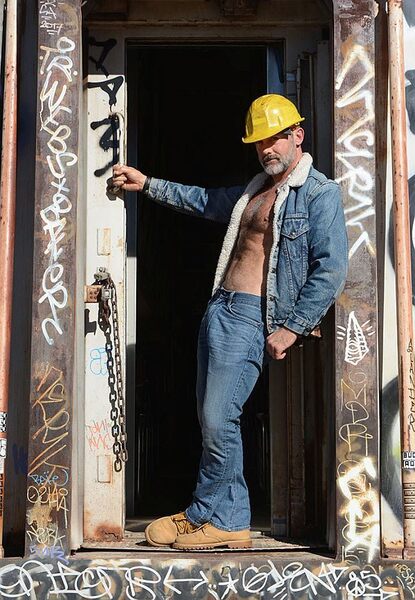 Blue Collar Fox