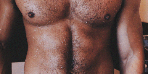 Hairy torso gif