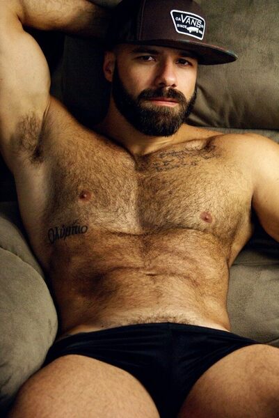 Hirsute and bearded
