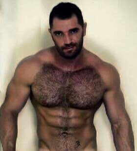His very hairy chest