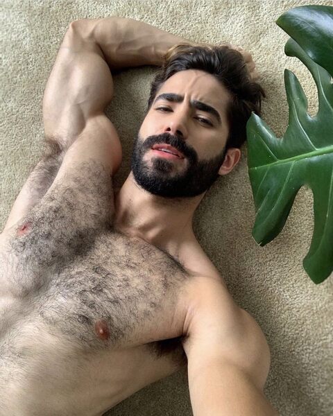 I’m not sure how the leaf fits in, but it still works.