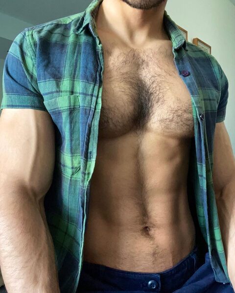 Torso in plaid
