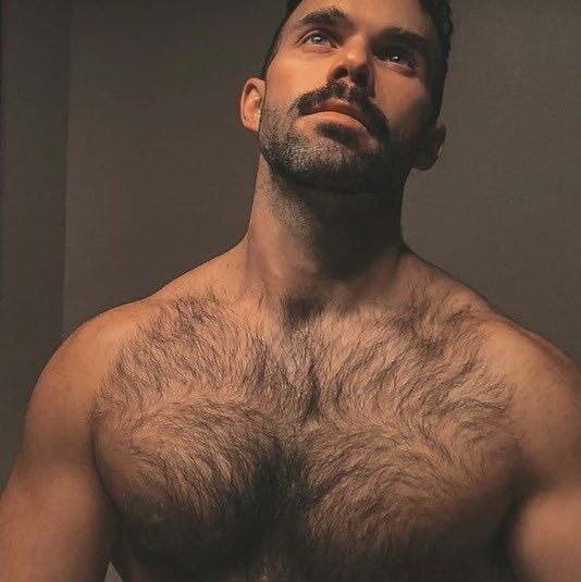 Tanned hairy pecs