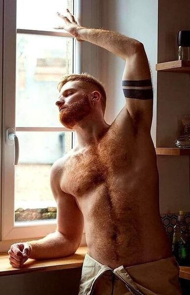 A ginger in the window.