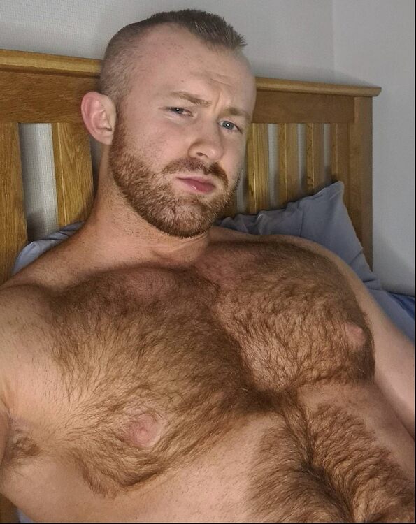 1266972711_HairyChest491.thumb.jpg.fd3fe2f776ab3761555bdfe38874f287.jpg