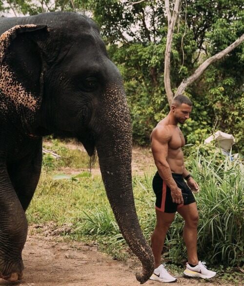 Taking his pet elephant for a walk and it needs to be done more than once a day…