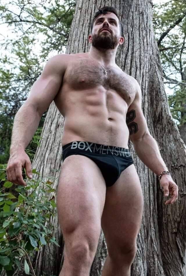 Big wood in the forest