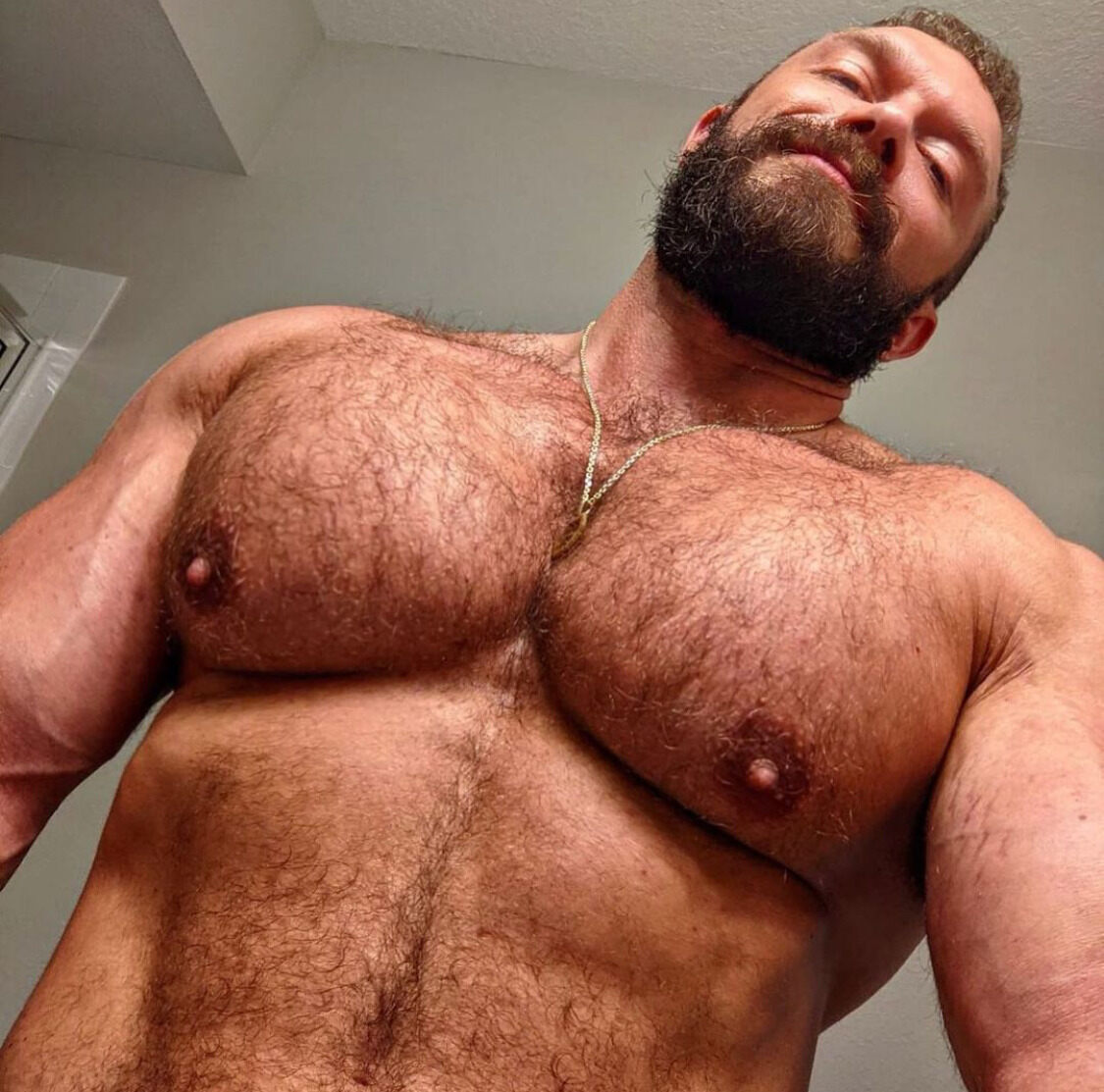 Hairy Daddy Tits