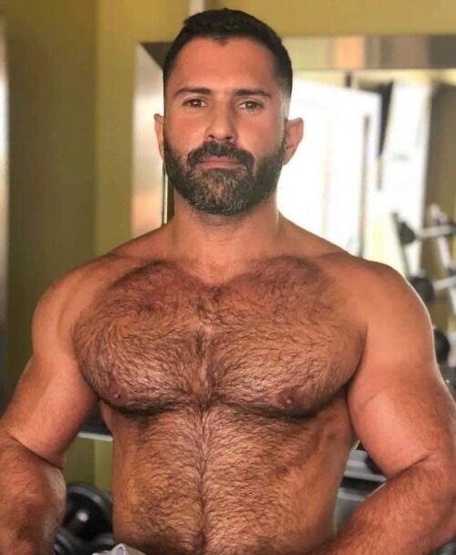 His barbell built hairy chest