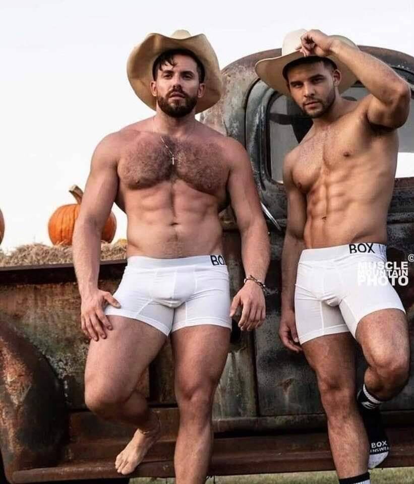 BOX bros