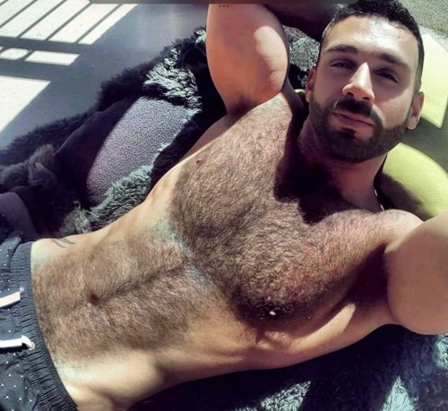 His very furry chest
