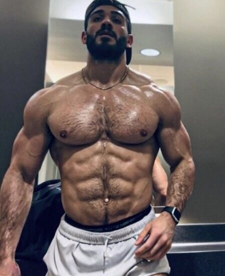 Alpha male big muscle