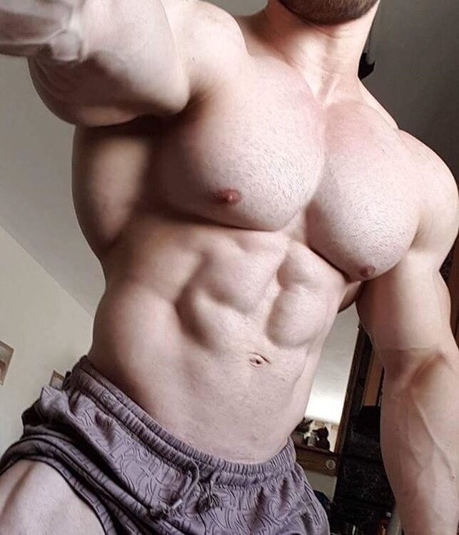 A make you hard dude torso.