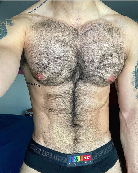 Nice hairy torso with nips begging to be worked!