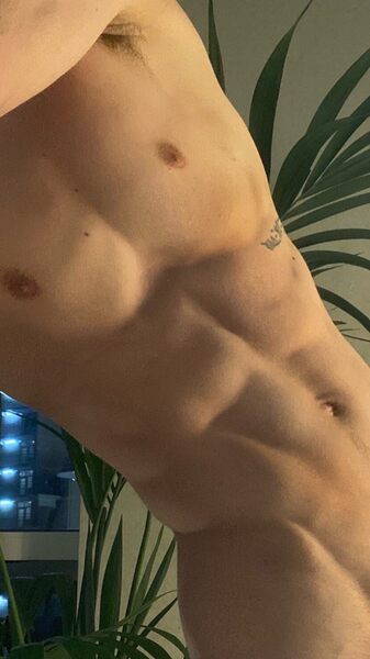 Looks like what seems to be a nice plant in the background…