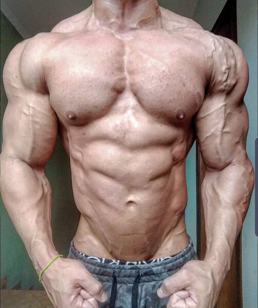 Torso muscle