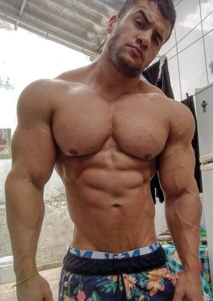 Scruff muscle with an attitude.